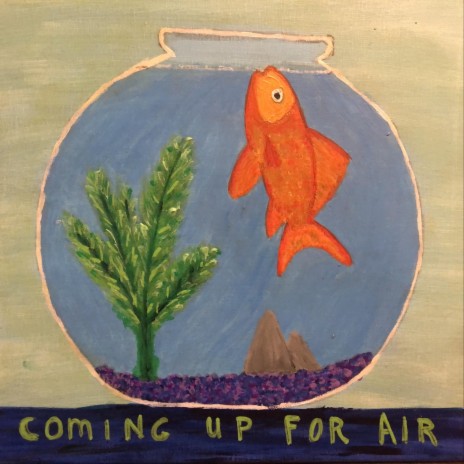 Fish Story cover art