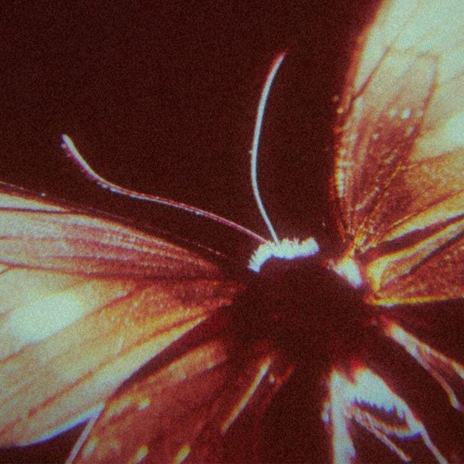SayYesToHeaven cover art