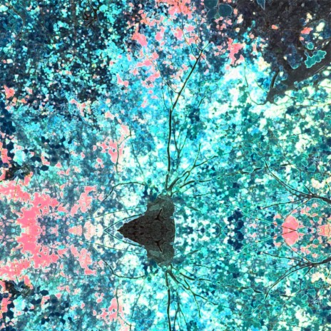 The Bow cover art