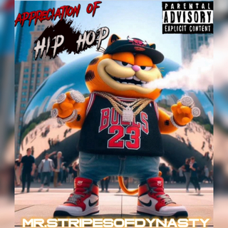 Appreciation of Hip Hop