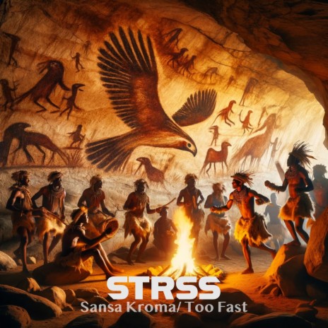 Sansa Kroma / Too Fast cover art