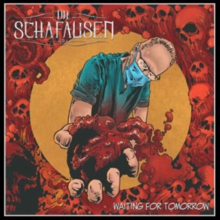 Dr. Schafausen