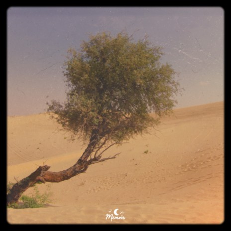 Not Afraid Of Ghosts cover art