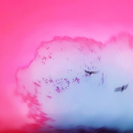 flying into the sky