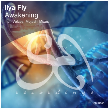 Awakening (VoIces Remix) cover art