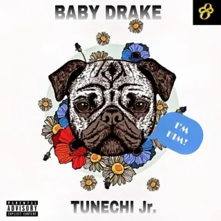 Baby Drake cover art