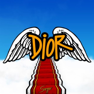 Dior cover art