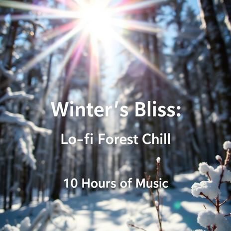 Winter's Night cover art