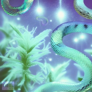 Slime Stories, Vol. 1