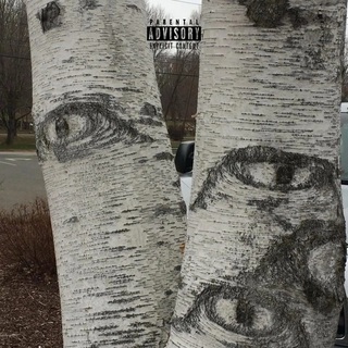 The Witness (album coming soon)