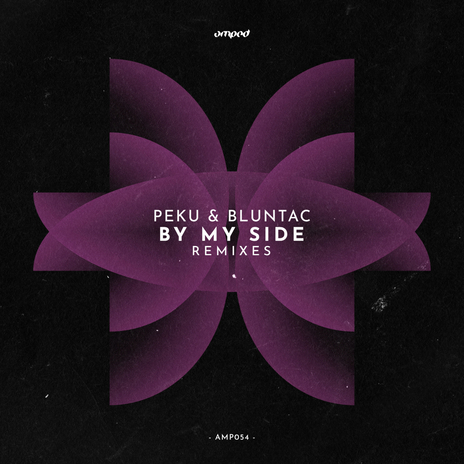 By My Side (Samwise Remix) ft. Bluntac cover art