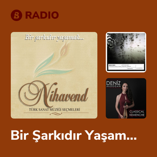 Bir Şarkıdır Yaşamak Grup Radio