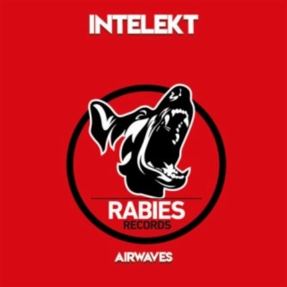 Intelekt