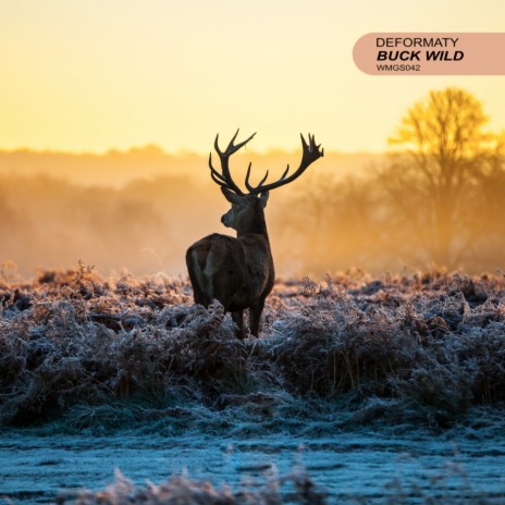 Buck Wild (Radio Mix) cover art