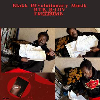 Blakk Revolutionary Musik