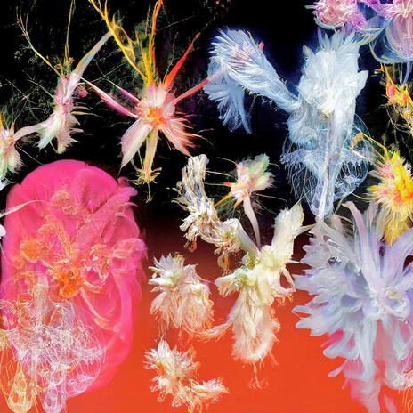 i miss iou cover art