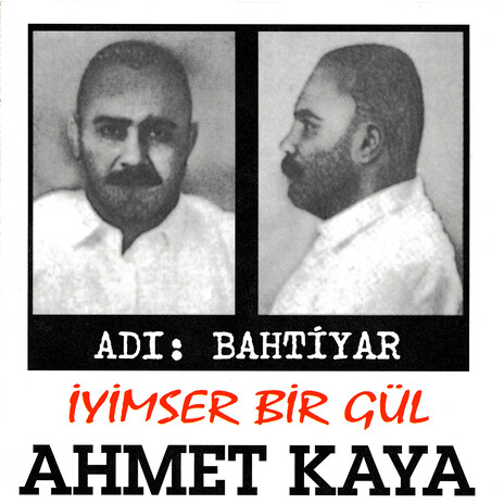 Gökyüzü