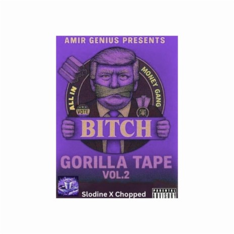 Do 2 Much (Slodine X Chopped) ft. Amir Genius & CNN Coon cover art