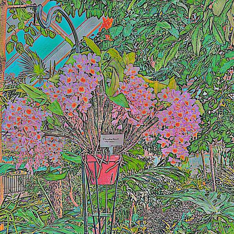 Garden of the Lily cover art