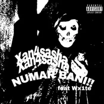 numar bani ft. wx1te cover art