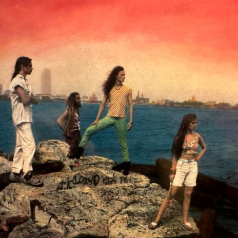 Animal Song cover art