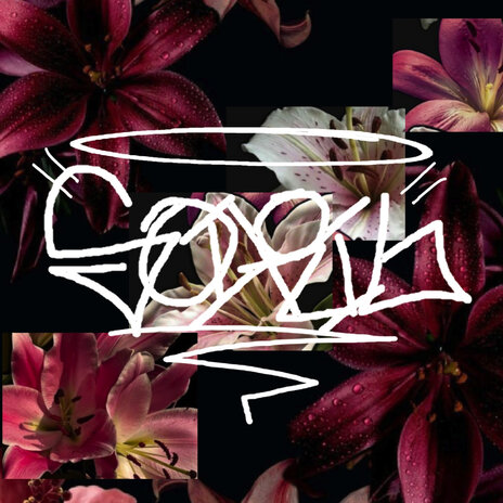 Soiril cover art