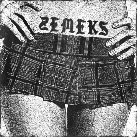 Mini Skurt cover art