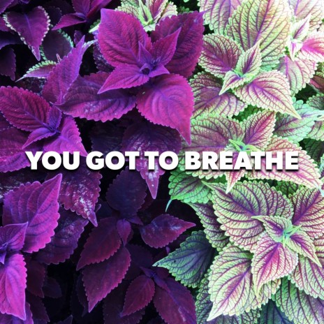 You Got To Breathe cover art
