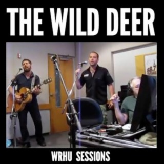 The Wild Deer
