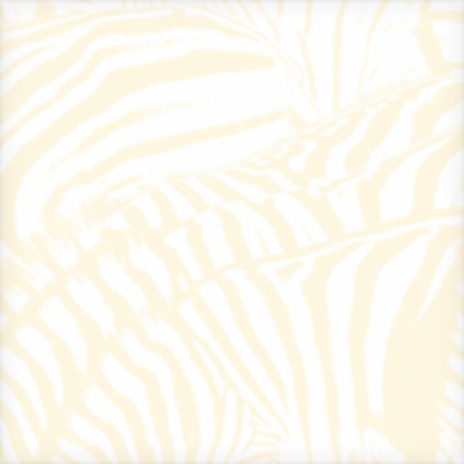 Walk in the Park cover art