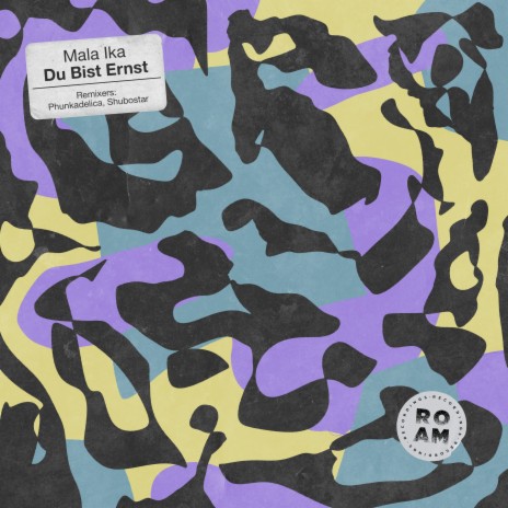 Du Bist Ernst (Phunkadelica Remix)