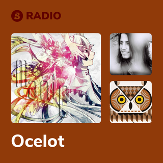 Ocelot Radio