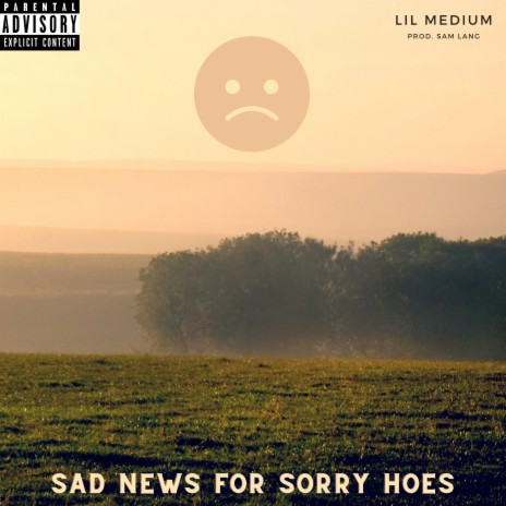 Sad News For Sorry Hoes cover art