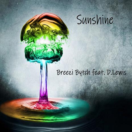 Sunshine ft. D. Lewis cover art