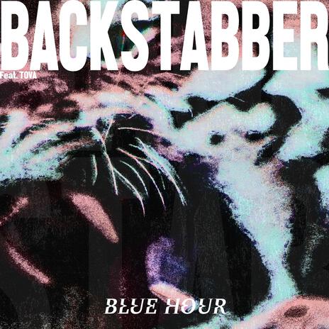 BACKSTABBER (feat. TOVA)