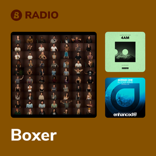 Boxer Radio