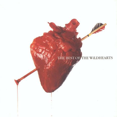 If Life Is Like a Love Bank I Want an Overdraft cover art