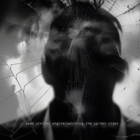Watching The Spider Crawl cover art