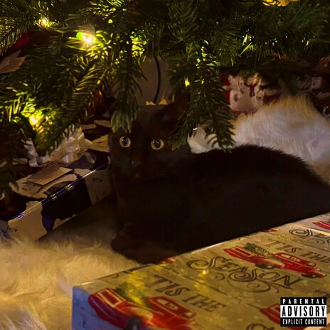 i wish i never met you cover art