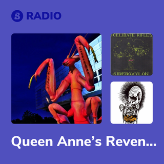 Queen Anne’s Revenge Radio