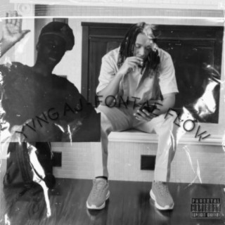 Fontae Flow cover art
