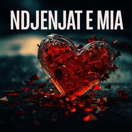 LOYDX - NDJENJAT E MIA ft. Sabi & Qani cover art