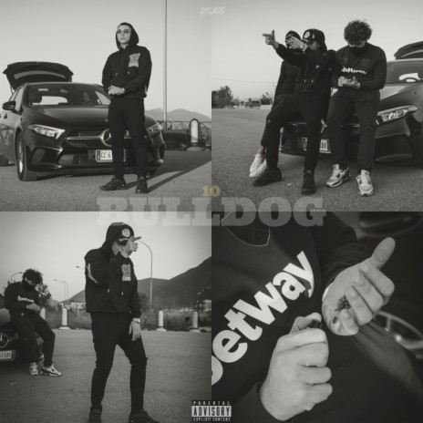 10 Bulldog cover art