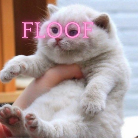 FLOOF (Radio Edit) cover art