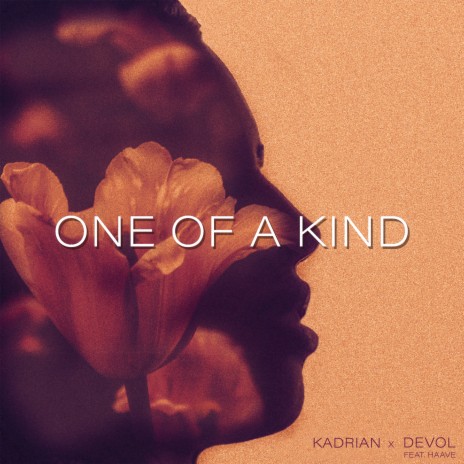 One of a Kind ft. HAAVE & Kadrian cover art