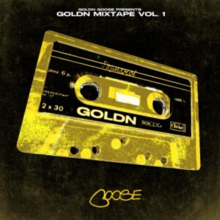 GOLDN GOOSE