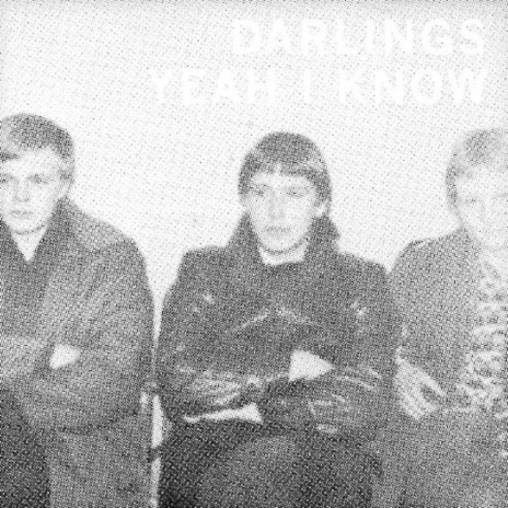 Teenage Girl cover art