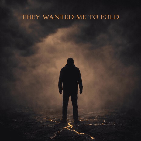 They Wanted Me To Fold cover art