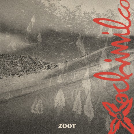 Gonzo