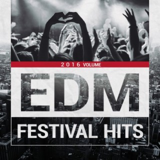 EDM Festival Hits Vol 2016